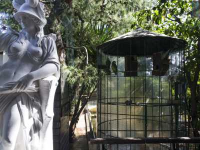 Il tutto mentre una statua della dea Minerva si staglia a seno nudo tra gli alberi